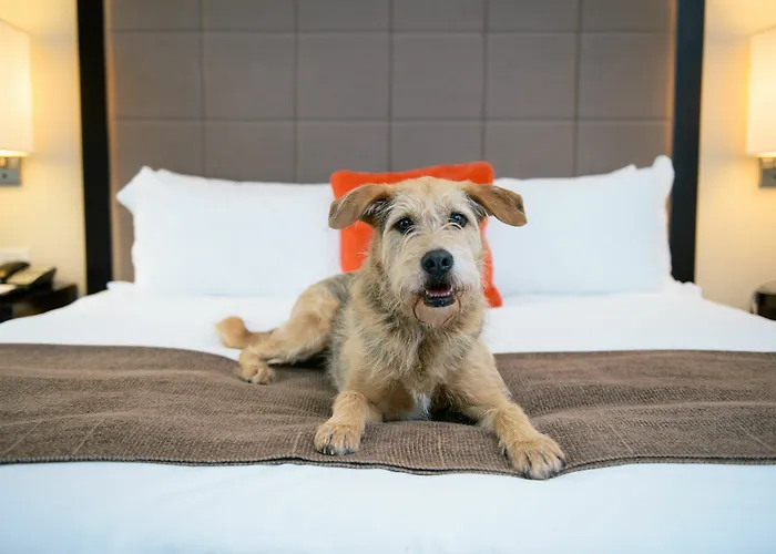Candlewood Charleston-northwoods By Ihg